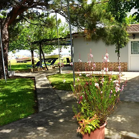 公寓 埃弗拉一室公寓 *