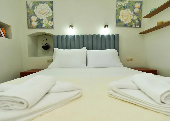 埃弗拉一室公寓 *