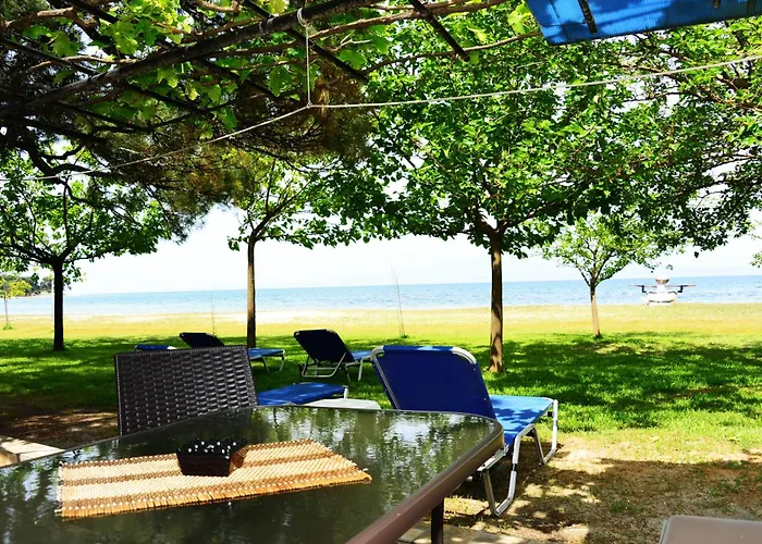 公寓 埃弗拉一室公寓 *