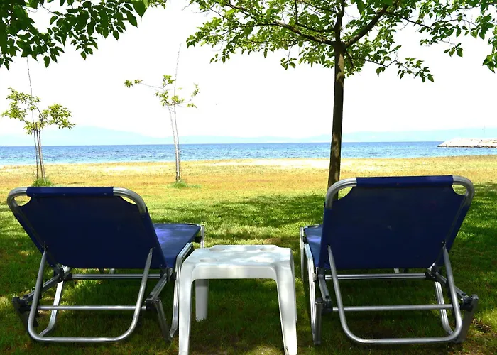 公寓 埃弗拉一室公寓 *