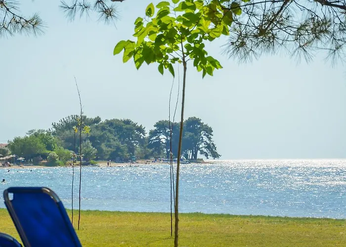 公寓 埃弗拉一室公寓 *