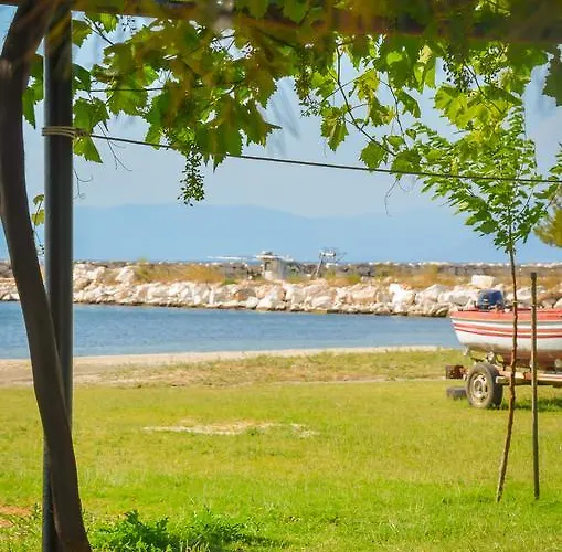 公寓 埃弗拉一室公寓 *