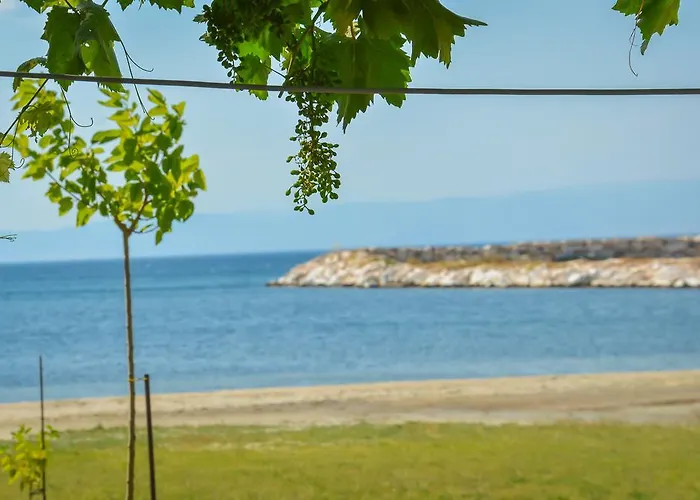 公寓 埃弗拉一室公寓