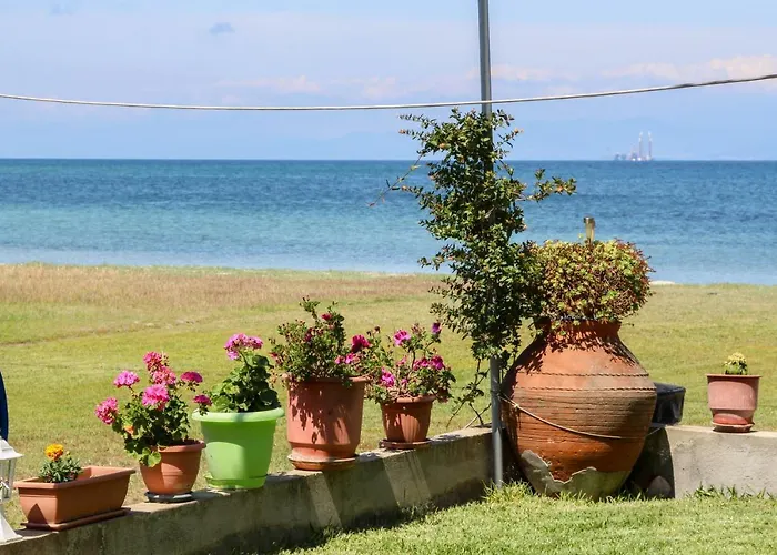 公寓 埃弗拉一室公寓 Skala Rachoni (Thasos)