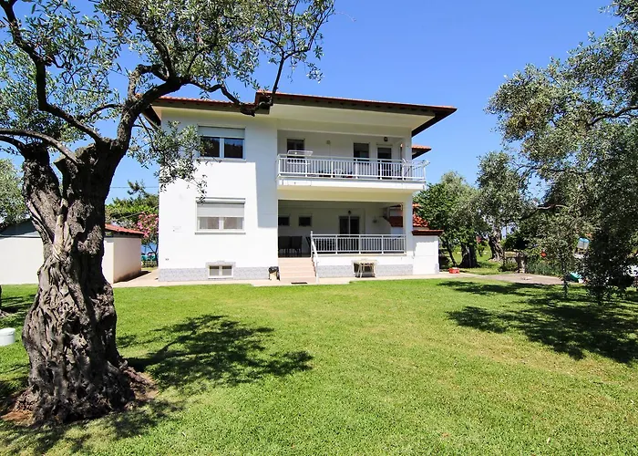 埃弗拉一室公寓